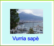 Vurria sapè